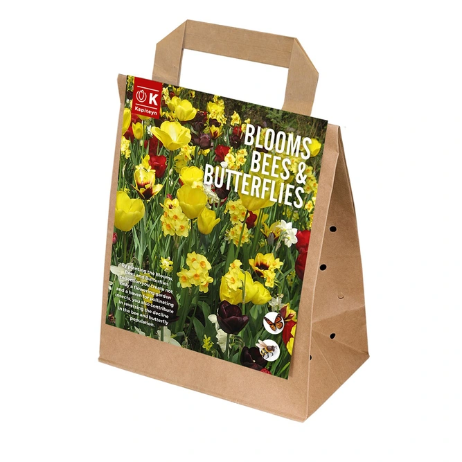 Flower Bulbs - 25 Blooms, Bees and Butterflies Yellow And Maroon Shades