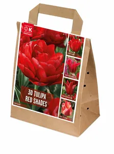 Flower Bulbs - 30 Shades Of Colour Tulip Red