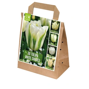 Flower Bulbs - 30 Shades Of Colour Tulip White