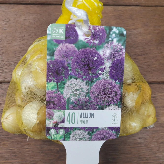 Flower Bulbs - 40 Allium Bag Mix - image 1