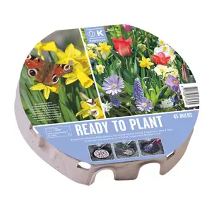 Flower Bulbs - 45 Plant-O-Mat Wild Blooms