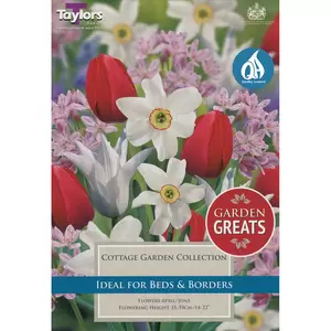 Flower Bulbs - 50 GG Cottage Garden Collection