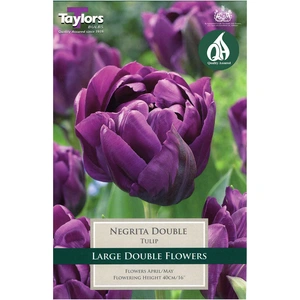 Flower Bulbs - 7 Tulip Negrita Double - image 2