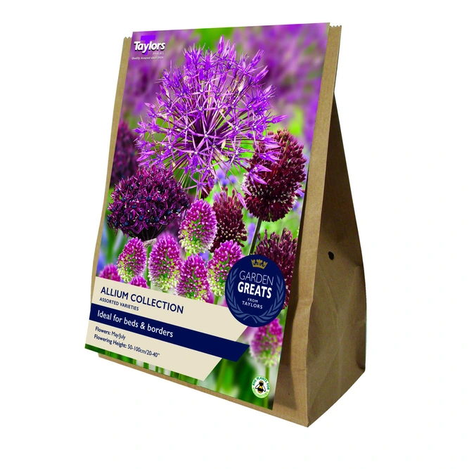 Flower Bulbs - Allium Collection (40 Bulbs)