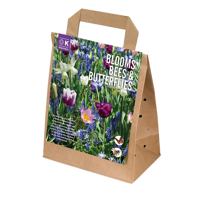 Flower Bulbs - Bees and Butterflies (25 Bulbs) Blue Shades Tulips, Narcissus, Muscari