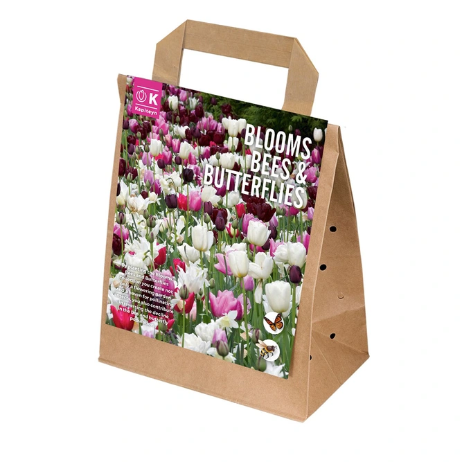 Flower Bulbs - Bees and Butterflies (25 Bulbs) Tulip Pink Shades