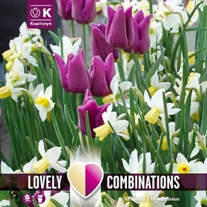 Flower Bulbs - Combi Pack - Tulip Purple & Narcissus White - 20 Bulbs