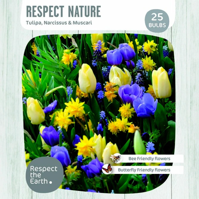 Flower Bulbs - Respect Nature - Tulips Narcissus Muscari (25 Bulbs)