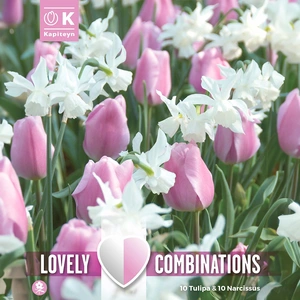Flower Bulbs - Tulip Pink & Narcissus White (20 Bulbs) Combi Pack