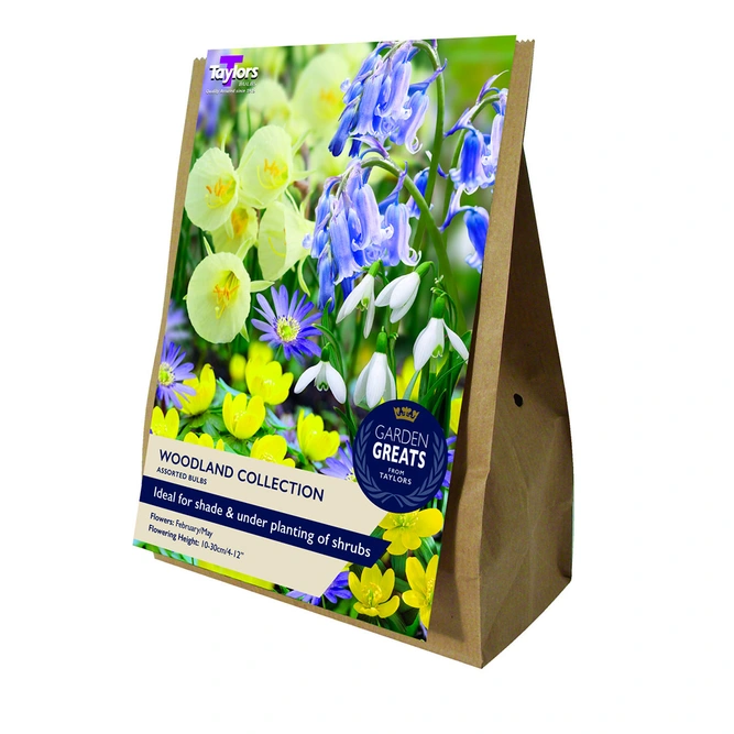 Flower Bulbs - Woodland Collection (40 Bulbs)