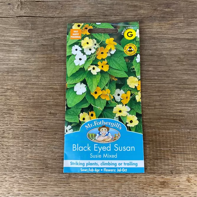 Flower Seeds - Black Eyed Susan Susie Mixed
