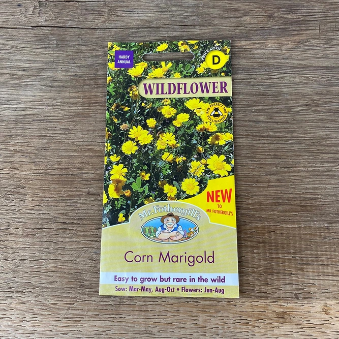 Flower Seeds - Corn Marigold - image 2