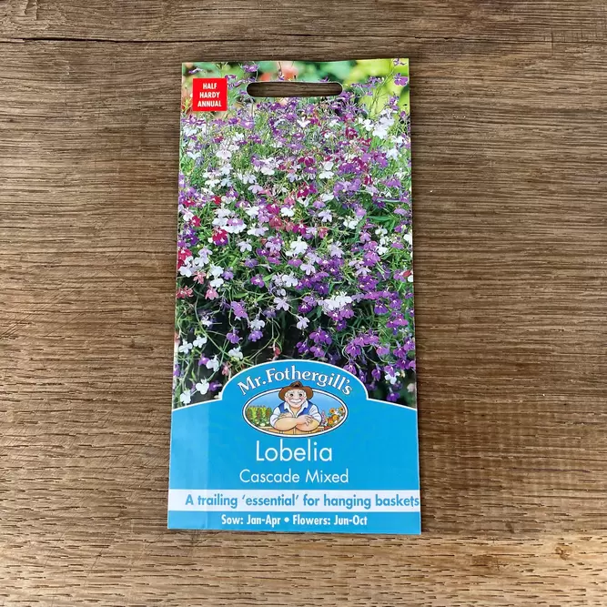 Flower Seeds - Lobelia Casade Mixed