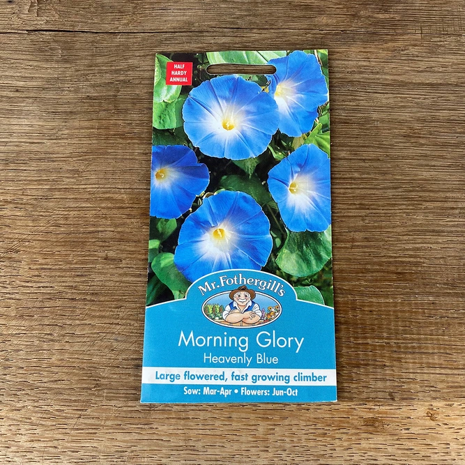 Flower Seeds - Morning Glory Heavenly Blue - image 2