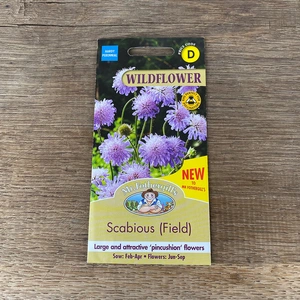 Flower Seeds - Scabious (Field) - image 2