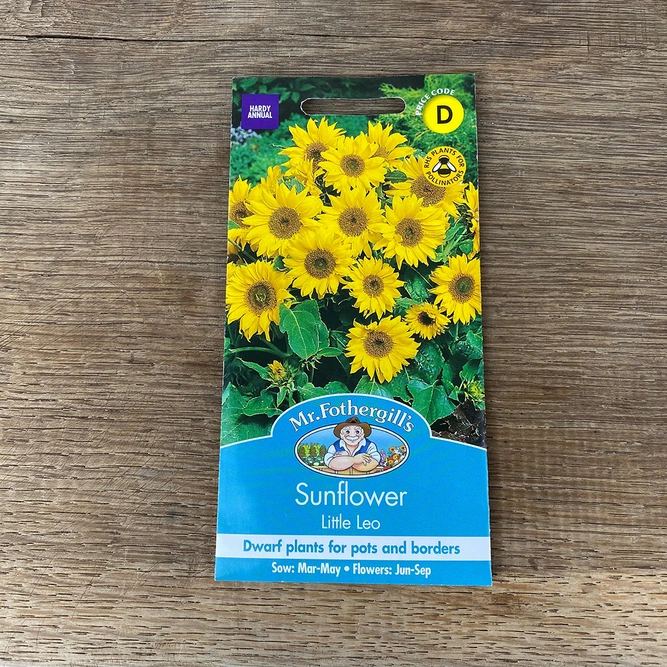 Flower Seeds - Sunflower Little Leo - image 2