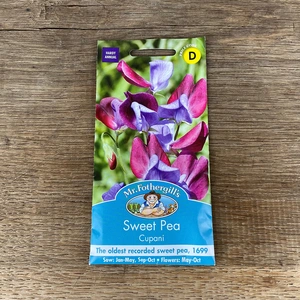 Flower Seeds - Sweet Pea Cupani - image 2