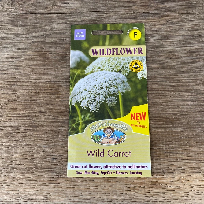 Flower Seeds - Wild Carrot - image 2