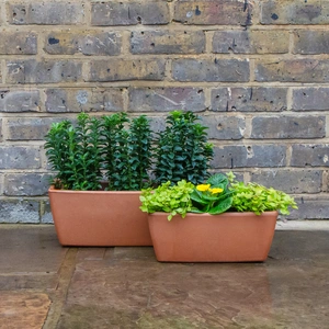 Garda Window Box Terracotta Trough Planter L32cm x W16cm x H13.1cm - image 5