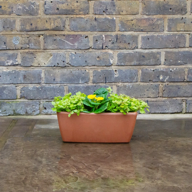 Garda Window Box Terracotta Trough Planter L32cm x W16cm x H13.1cm - image 3