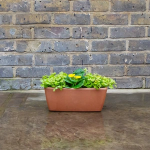 Garda Window Box Terracotta Trough Planter L32cm x W16cm x H13.1cm - image 3