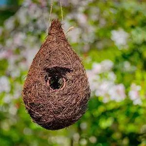 Giant Roost Pocket - image 1