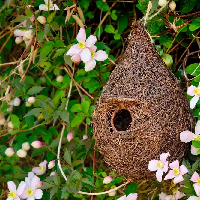 Giant Roost Pocket - image 2