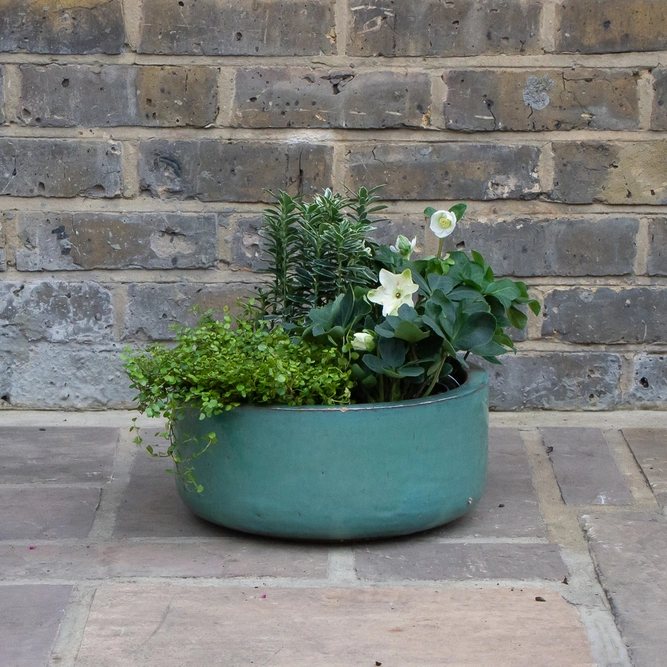Glazed Aqua Bowl Terracotta Planter (D21cm x H10cm) Outdoor Plant Pot - image 3