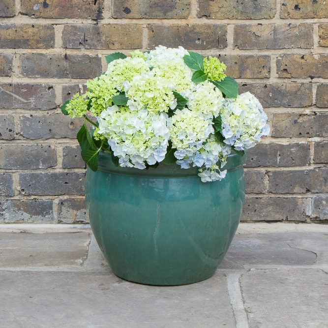 Glazed Aqua Green Delta Rim (D38cmx31cm) Handmade Terracotta Planter Outdoor Plant Pot - image 3