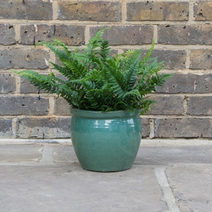 Glazed Aqua Green Delta Rim (D21cmx18cm) Handmade Terracotta Planter Outdoor Plant Pot - image 3