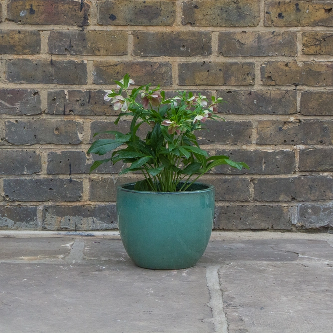 Glazed Aqua Green Egg Pot (D24cm x H19cm) Handmade Terracotta Planter Outdoor Plant Pot - image 3