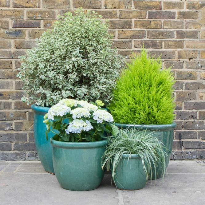 Glazed Aqua Green Rim HP001 (D30cm x H25cm) Handmade Terracotta Planter Outdoor Plant Pot - image 5