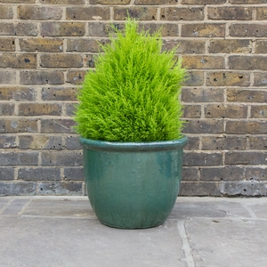 Glazed Aqua Green Rim HP001 (D50cm x H39cm) Handmade Terracotta Planter  Outdoor Plant Pot - image 3