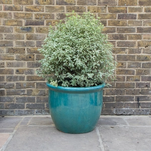 Glazed Aqua Green Rim HP001 (D60cm x H50cm) Handmade Terracotta Planter Outdoor Plant Pot - image 3