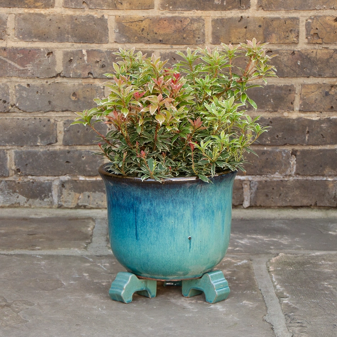 Glazed Aqua Green (Set of 3) Handmade Terracotta Plant Pot Feet  - image 3