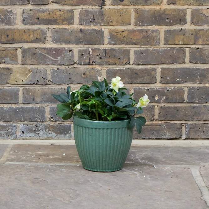 Glazed Aqua Melon Egg Pot Terracotta Planter (D23cm x H20cm) Outdoor Plant Pot - image 3