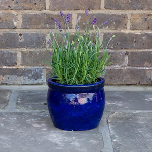 Glazed Blue Delta Rim (D21cmx16cm) Handmade Terracotta Planter Outdoor Plant Pot - image 2
