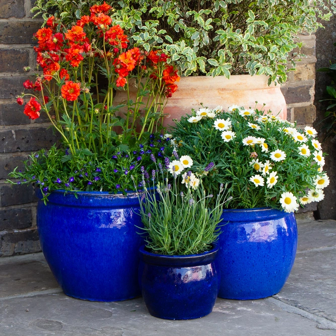 Glazed Blue Delta Rim (D21cmx16cm) Handmade Terracotta Planter Outdoor Plant Pot - image 3