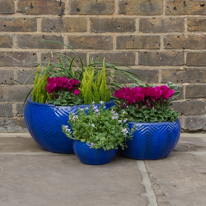 Glazed Blue Fishbone Portly Bowl (D29cm x H15cm) Handmade Terracotta Planter Outdoor Plant Pot - image 5