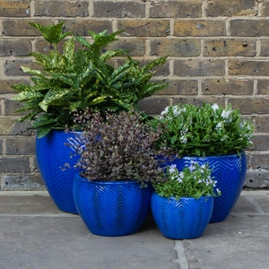 Glazed Blue Fishbone Portly Egg Terracotta Planter (D30cm x H20cm) Outdoor Plant Pot - image 2