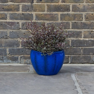 Glazed Blue Fishbone Portly Egg Terracotta Planter (D21cm x H14cm) Outdoor Plant Pot - image 7