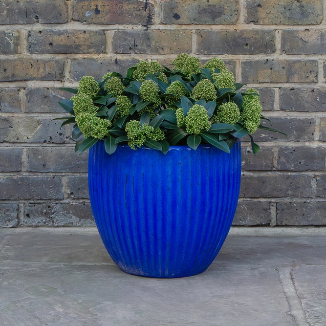Glazed Blue Portly Egg Rib (D37cm x H34cm) Handmade Terracotta Planter Outdoor Plant Pot - image 4