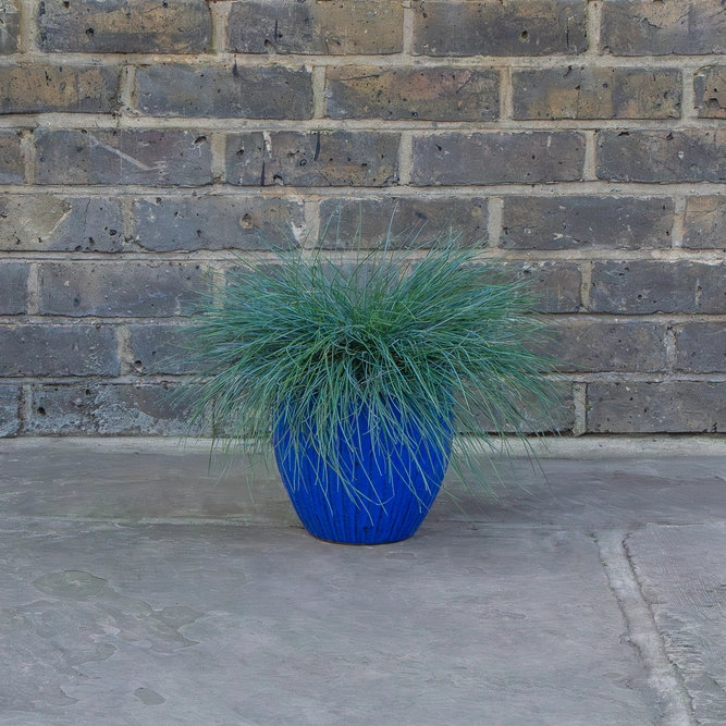 Glazed Blue Portly Egg Rib (D20cm x H18cm) Handmade Terracotta Planter Outdoor Plant Pot - image 4