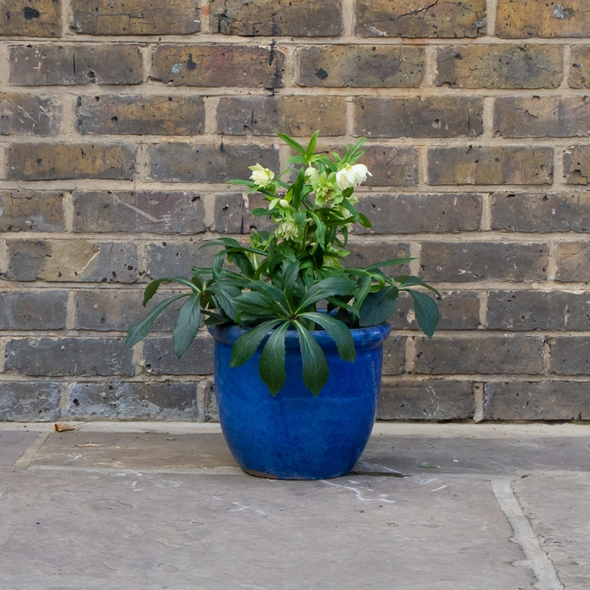Glazed Blue Rim HP001 (Pot Size D30cm x H25cm) Terracotta Planter Outdoor Plant Pot - image 3