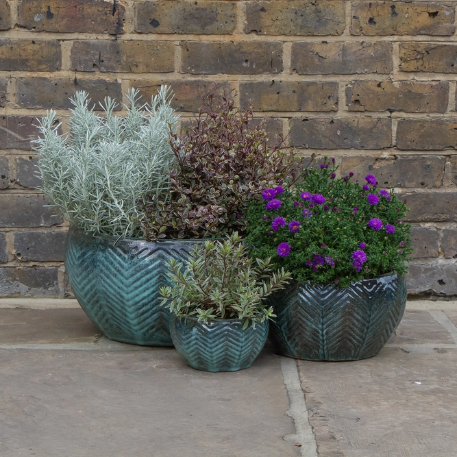 Glazed Green Fishbone Portly Bowl Terracotta Planter (D18cm x H10cm) Outdoor Plant Pot - image 5