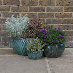 Glazed Green Fishbone Portly Bowl Terracotta Planter (D18cm x H10cm) Outdoor Plant Pot - image 5