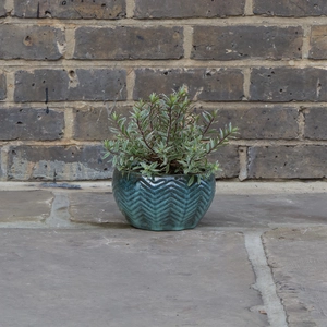 Glazed Green Fishbone Portly Bowl Terracotta Planter (D18cm x H10cm) Outdoor Plant Pot - image 2