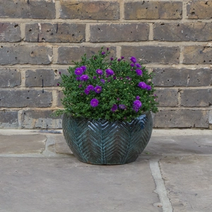 Glazed Green Fishbone Portly Bowl Terracotta Planter (D29cm x H15cm) Outdoor Plant Pot - image 3
