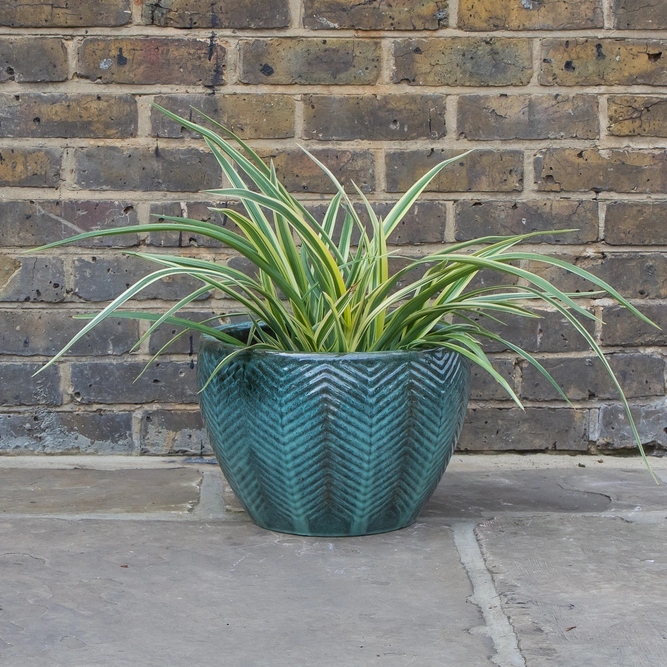 Glazed Green Fishbone Portly Egg Terracotta Planter (D38cm x H27cm) Outdoor Plant Pot - image 3