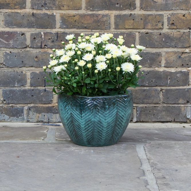 Glazed Green Fishbone Portly Egg Terracotta Planter (D30cm x H20cm) Outdoor Plant Pot - image 3
